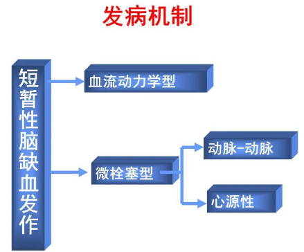 奥博医疗器械好不好用_短暂性脑缺血发作有哪些诱发因素?