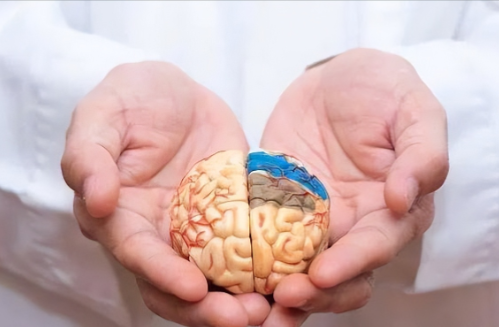 经颅直流电刺激(tDCS)仪器_脑血管病性脑萎缩要治疗吗 