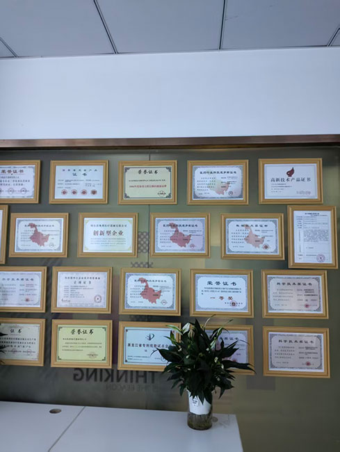 奥博经颅磁电技术的应用