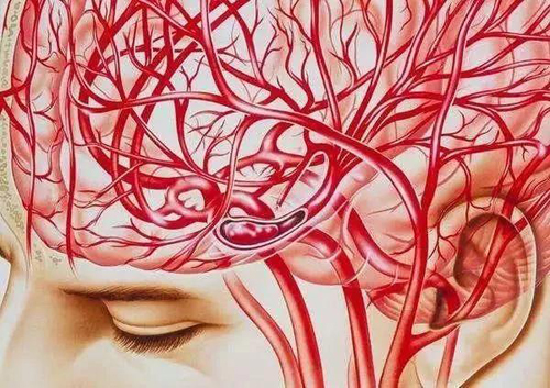 南京奥博甄选脑功能仪器_神经衰弱睡眠不好怎么改善?